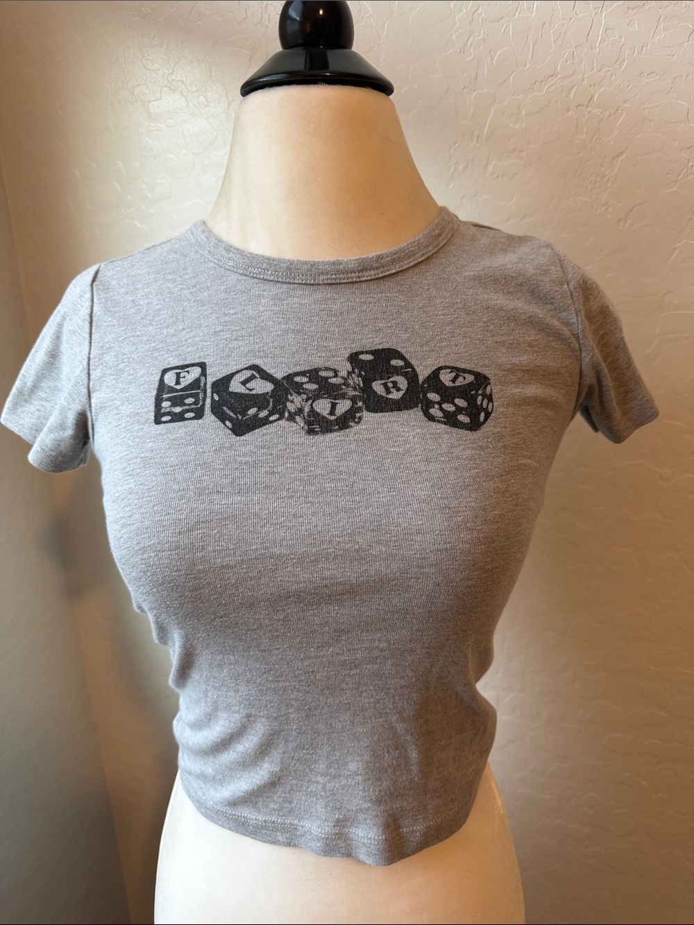 BDG Gray Dice Graphic Crop Tee